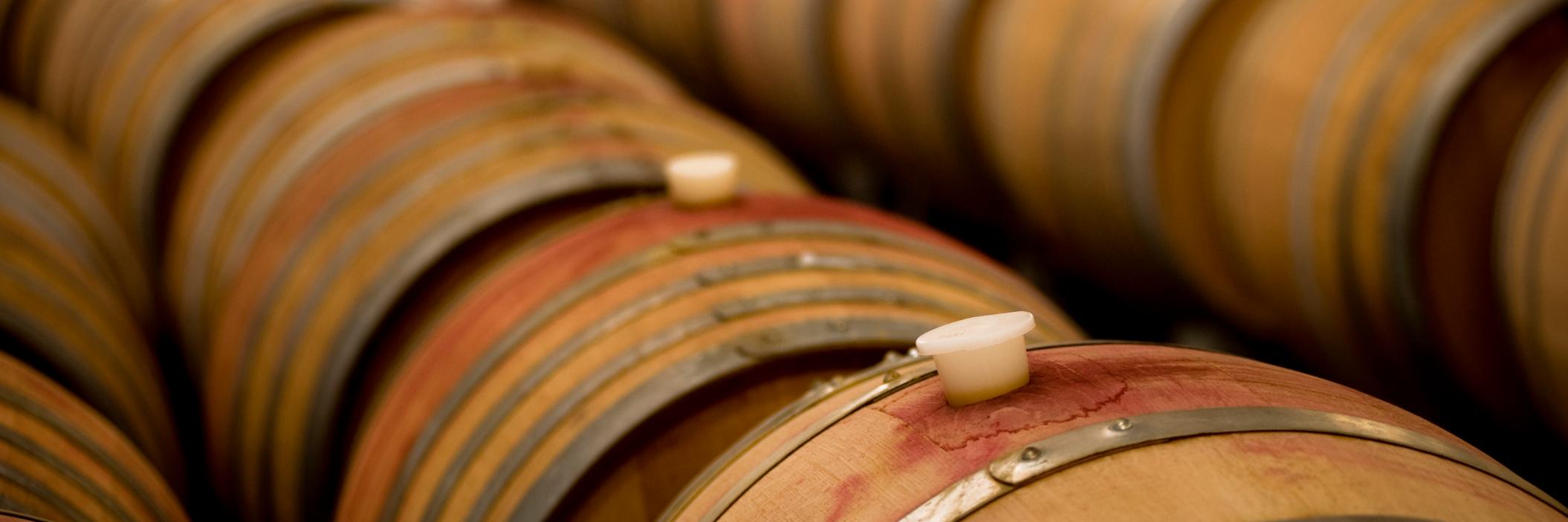 Palliser Wines banner