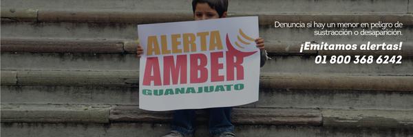 AAMBER_gto Profile Banner