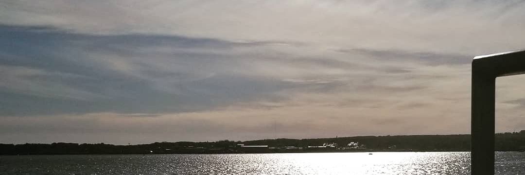 Emily Holtzclaw banner