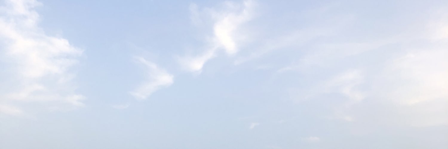 sofiisrf's profile banner image
