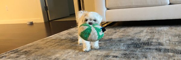 cristiangraz Profile Banner