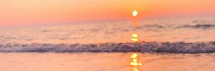 missbourne76's profile banner image