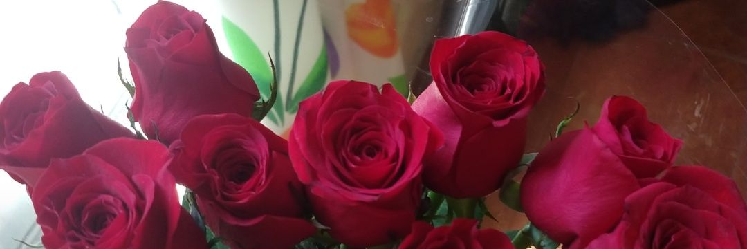 ___armenta91's profile banner image