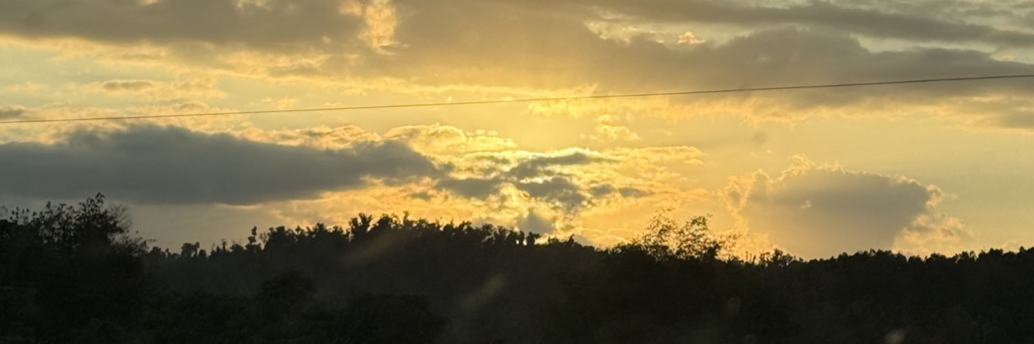 misteranthons_'s profile banner image
