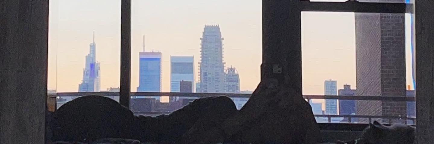 amandasilverman's profile banner image