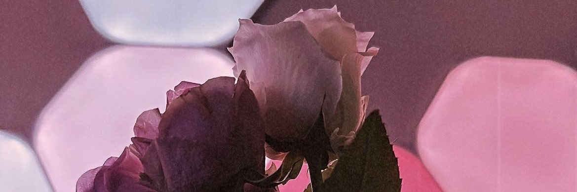 SaChan_1101's profile banner image