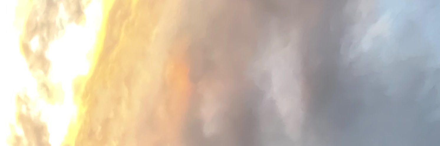 l0uRiN banner