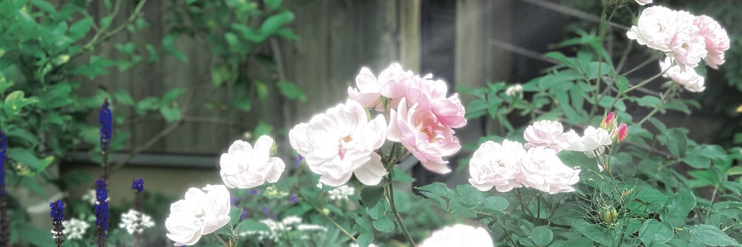 麺つゆ banner