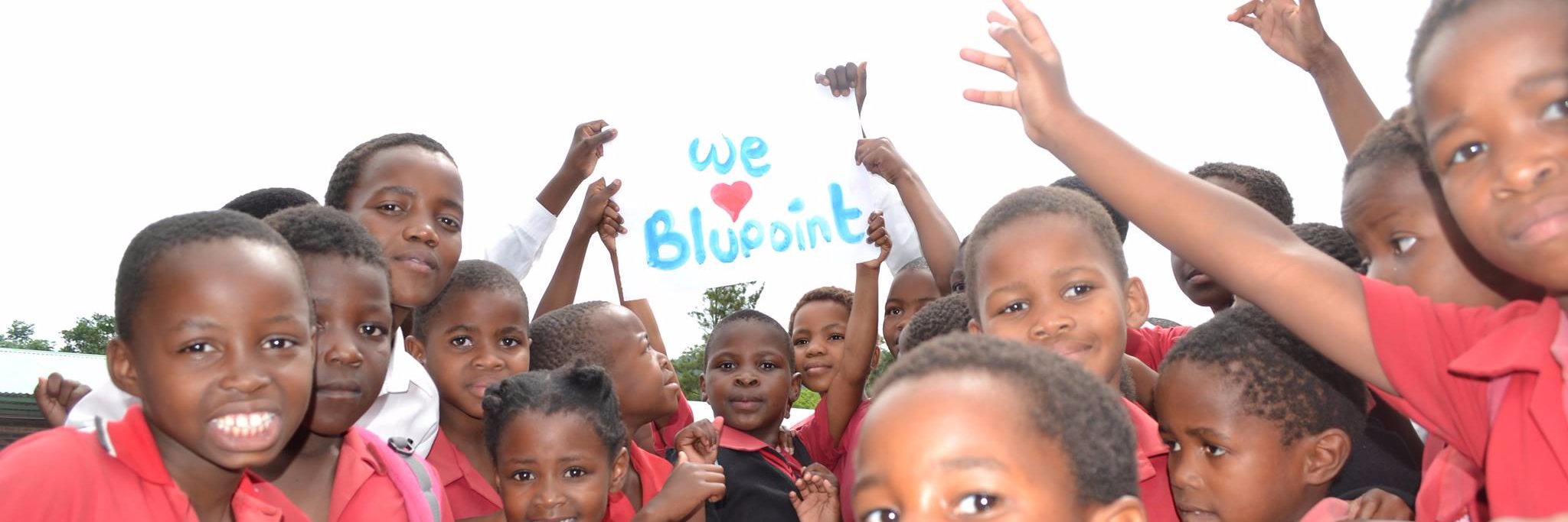 _blupoint's profile banner image