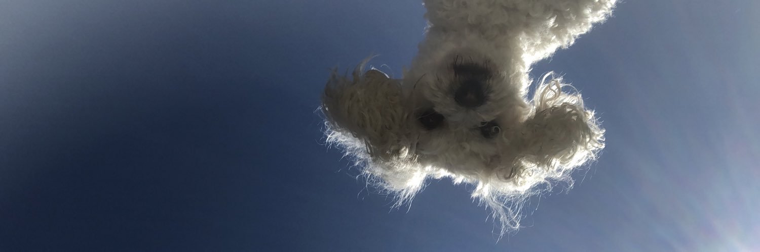 xgraceg's profile banner image