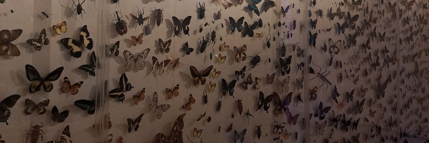 drrndaa's profile banner image
