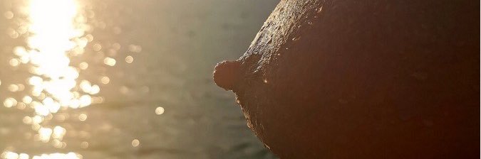 wildonwheels_'s profile banner image