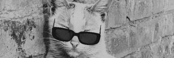 ALGato007 Profile Banner