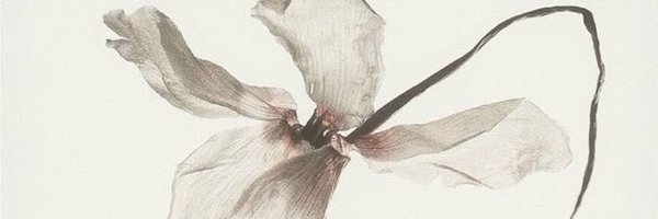 mardahliam Profile Banner