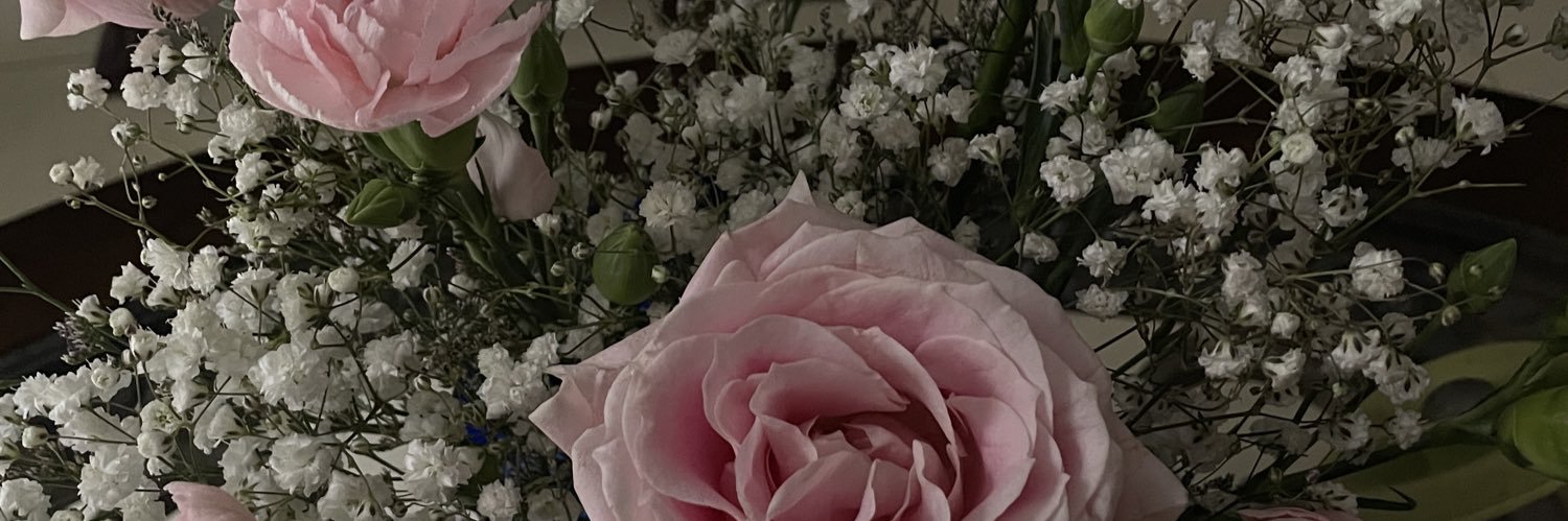 bel banner
