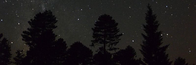 Lolou ⭐ banner
