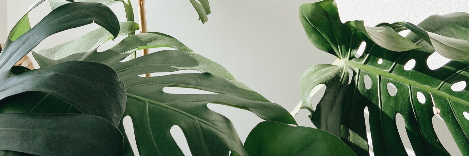 valcabs's profile banner image