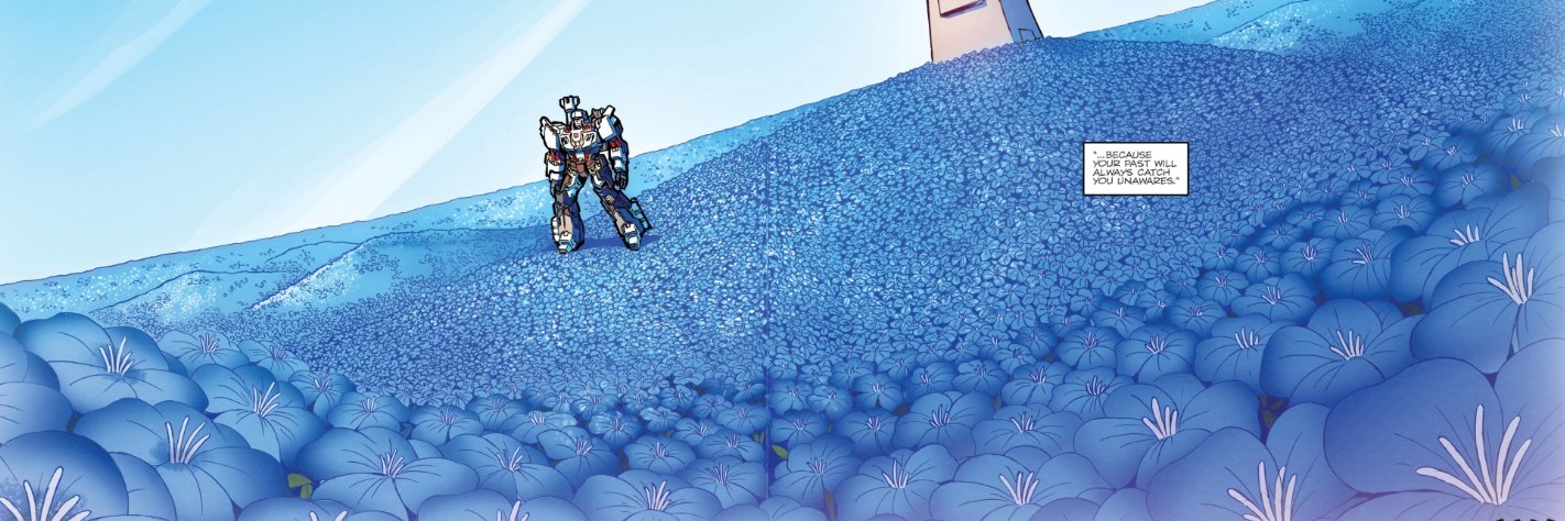 Megatron banner