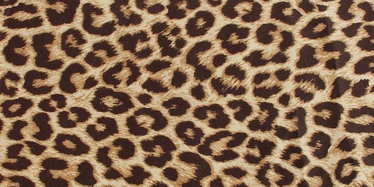 mitijayy's profile banner image