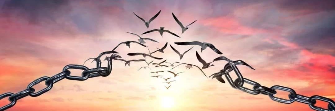 ⫍ ⃢👁ܫ👁⃢ ⫎ banner