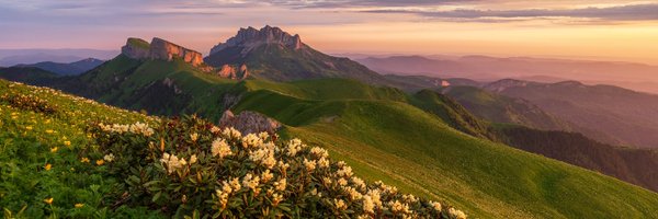 momentumdash Profile Banner