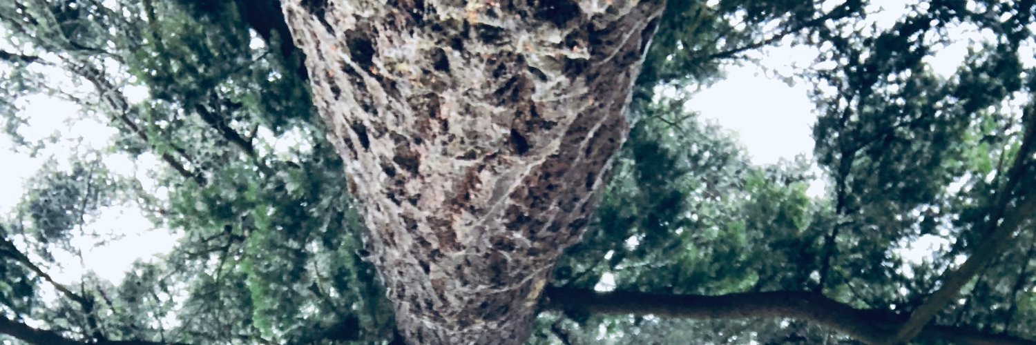 heymikenash's profile banner image