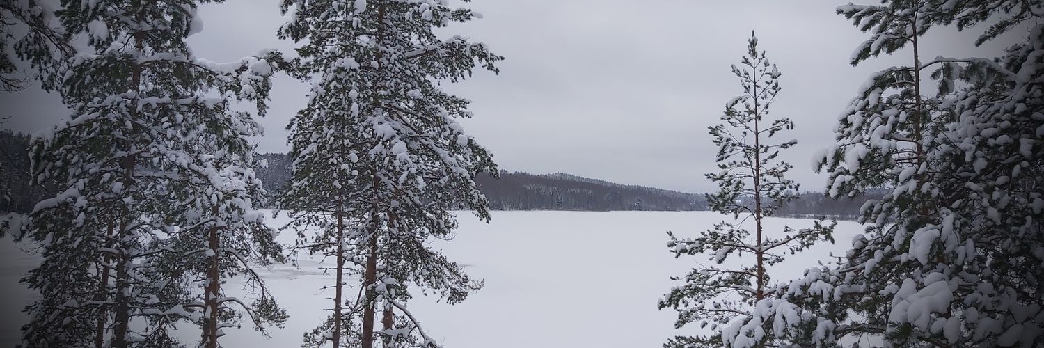 RiikkaReitzer's profile banner image
