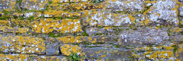 brightidea21 Profile Banner