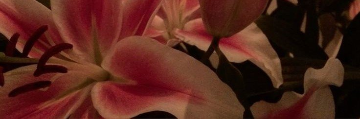raa²⁵ 🍀 banner