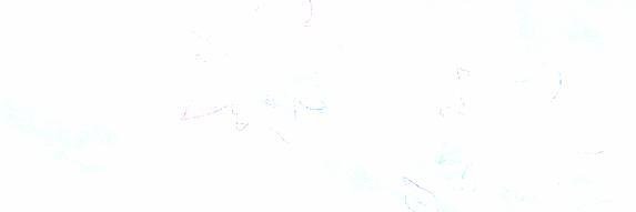 nipchanels's profile banner image