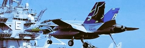 🌴 Vet In Paradise 😎's banner