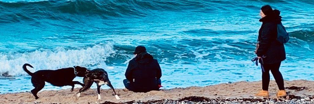 Daniel Stoltz banner