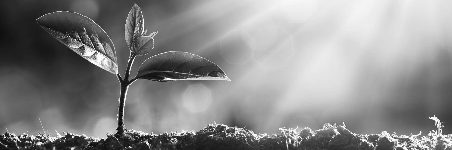 MeederIM's profile banner image
