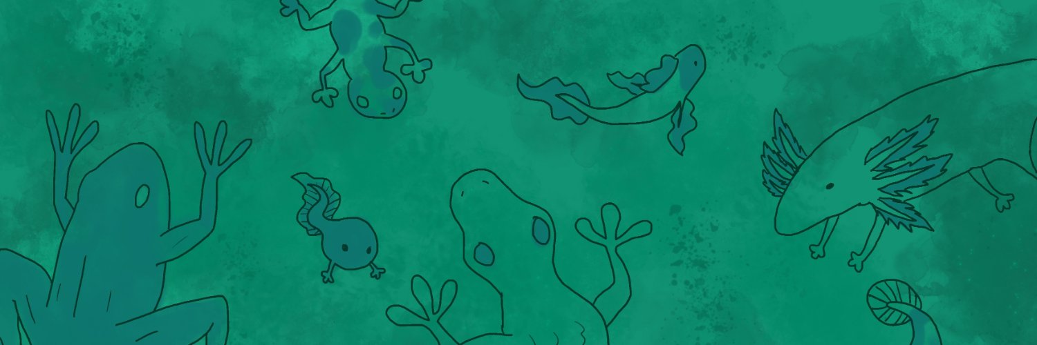 anealvarez97's profile banner image