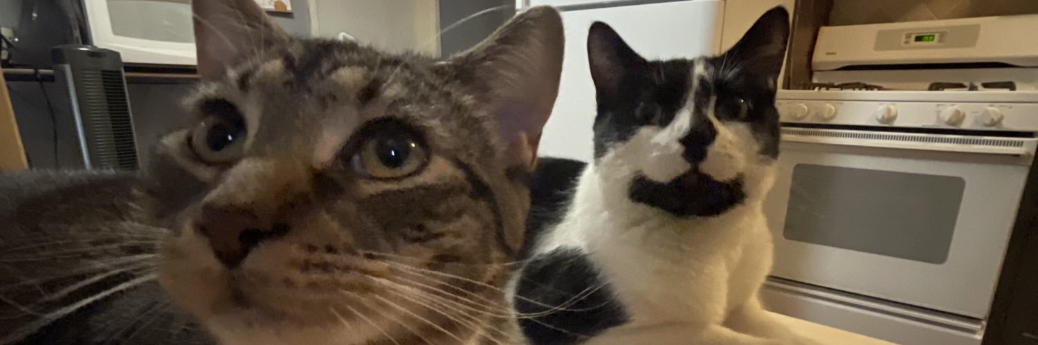 bert_dangle's profile banner image