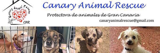 Canary Animal Rescue banner