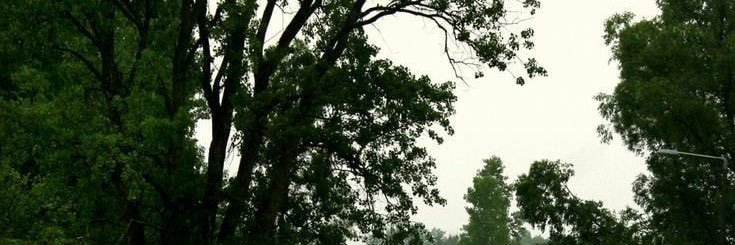 aau_25's profile banner image