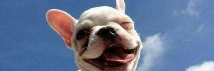 chalinemaito's profile banner image