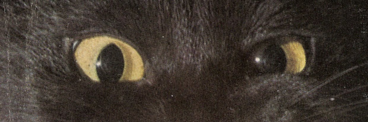 ironsage333's profile banner image