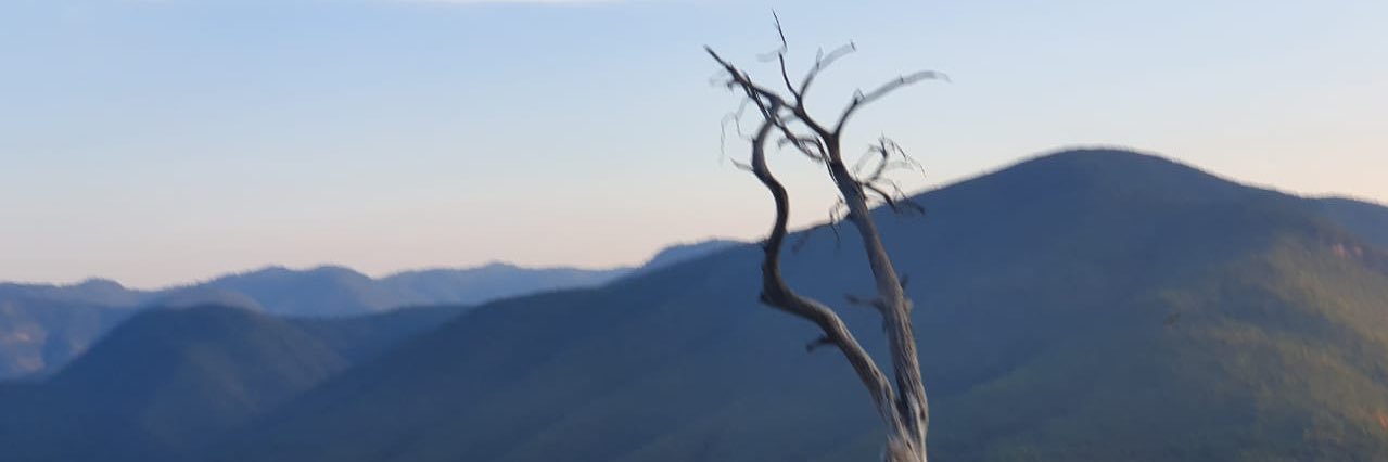 NetworkingMX's profile banner image