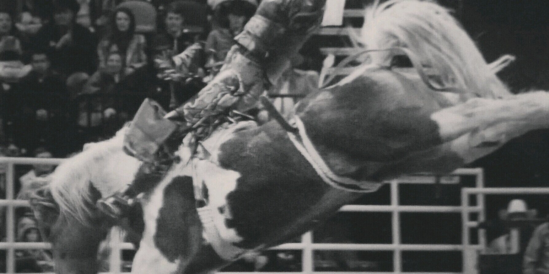 JustinMRodeo's profile banner image