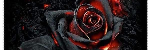 Tanika1906's profile banner image