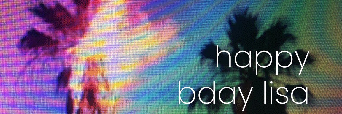 stop romanticizing palm trees's banner