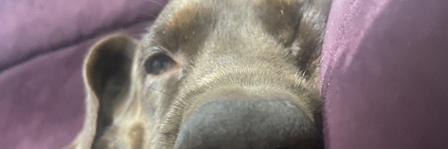 odeio banner