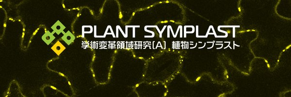 Plant_Symplast Profile Banner