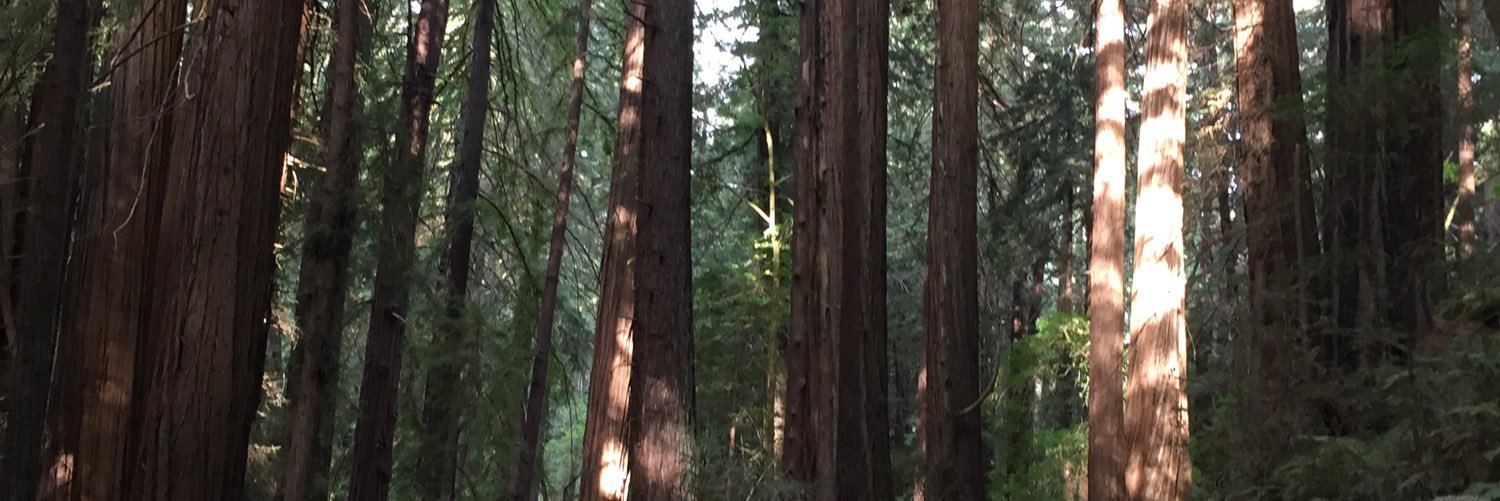 Miti2ek's profile banner image