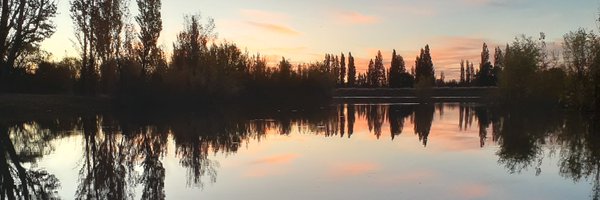 lDownloadES Profile Banner