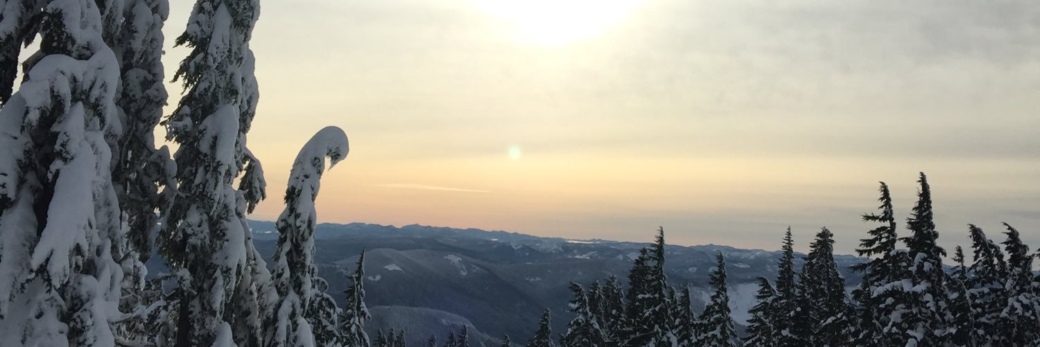 PettigrewJs's profile banner image