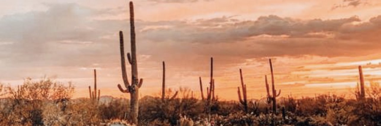 roxysgalicia's profile banner image