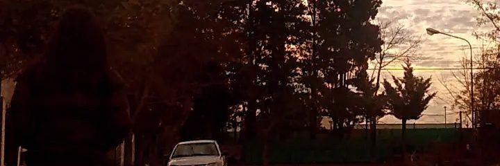 Flormancebo's profile banner image